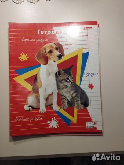 Тетради в широкую линейку