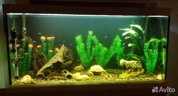 Аквариумы