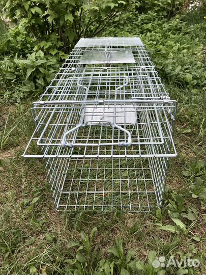 Котоловка, кошколовка, живоловка в аренду