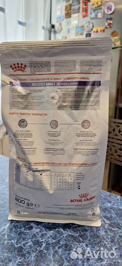 Корм для собак