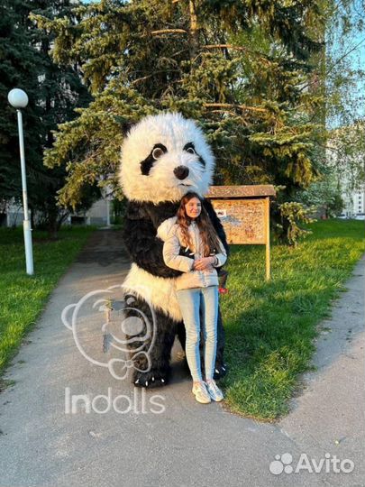 Надувные костюмы, аэрокостюмы в наличии, медведи