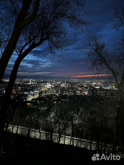 Алматы Топ-Экскурсия Поймать алматинский вайб— вми