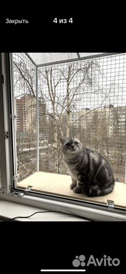 Балкон на окно для кошек, балкон для выгула