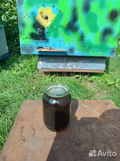 Мед гречишный 2023