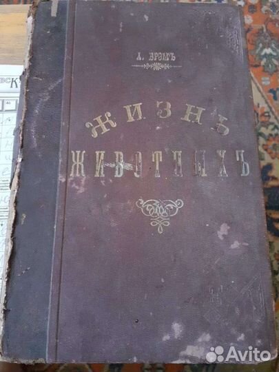 Раритетные книги