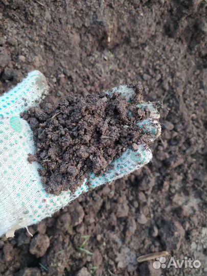 Навоз перегной