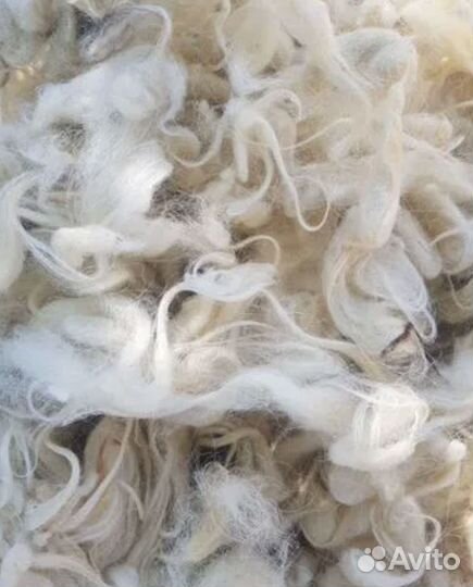 Шерсть овечья мытая
