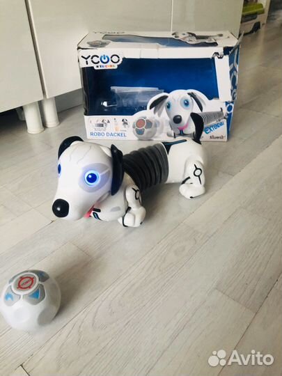Робот собака большая