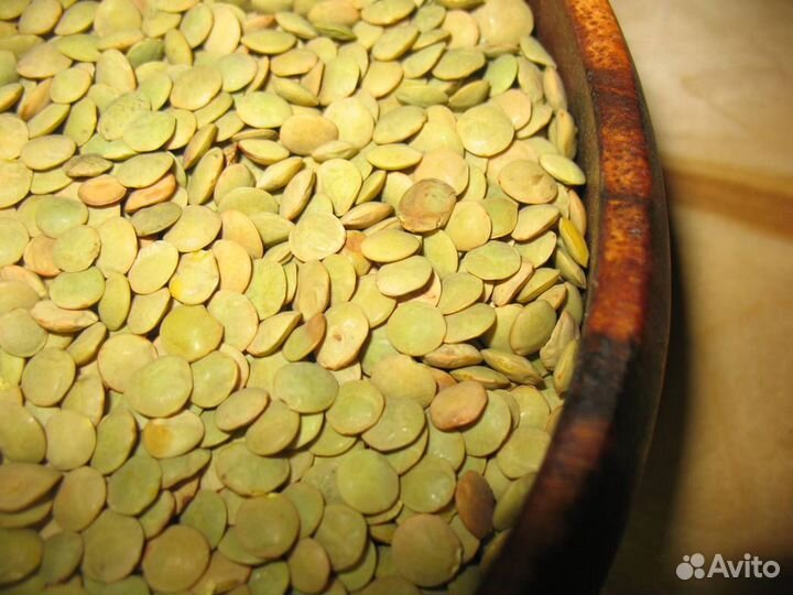 Чечевица зеленая