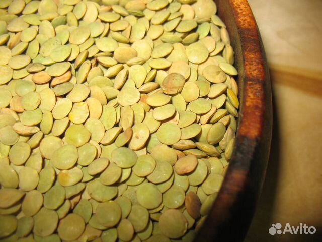 Чечевица зеленая