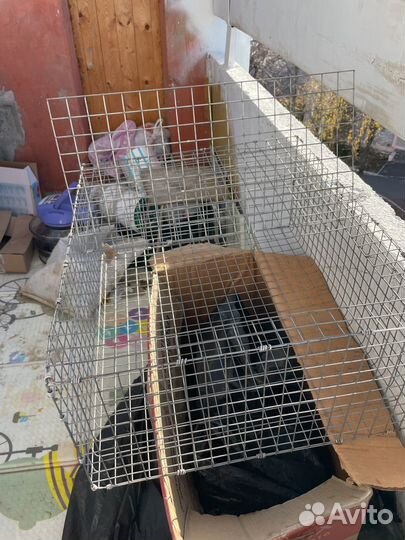 Клеткадля передержки