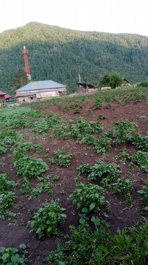 Дом 28 м² на участке 13 сот.