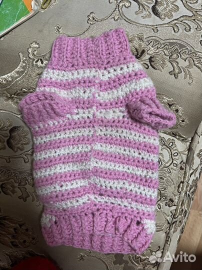 Жилет для маленькой собачки, кошки