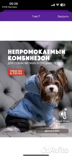 Зимний комбинезон для собак мелких пород