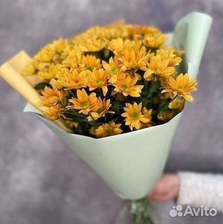 Букеты Цветы Хризантемы с доставкой