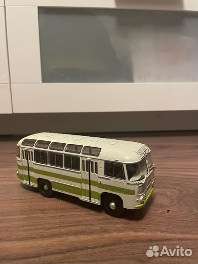 Наши автобусы