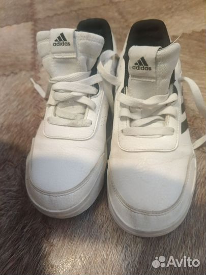 Кроссовки adidas