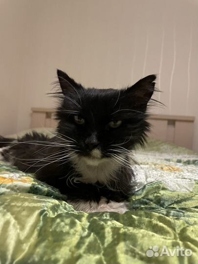 Бабушка Соня