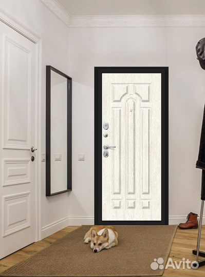 Входные двери Браво