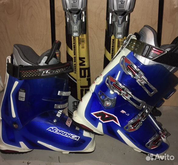 Горные лыжи