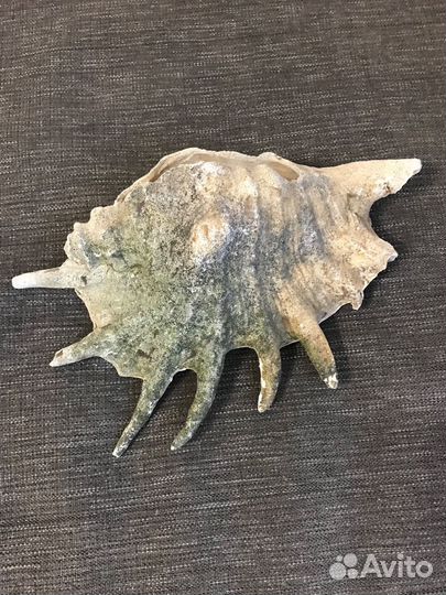 Декорации для аквариума