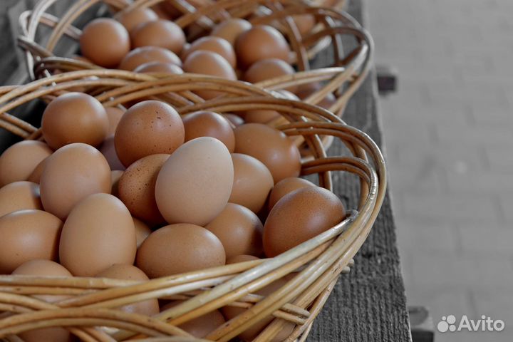 Домашние куриные яйца