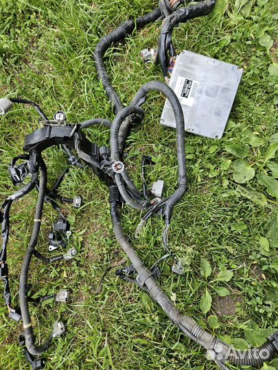 Коса подкапотная Toyota Camry 30 2A-ZFE 2004 г