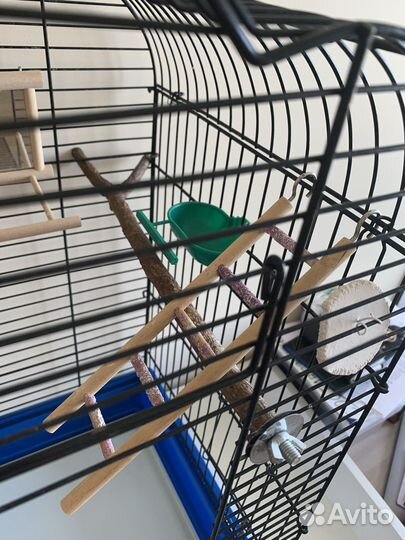 Клетка для попугая, переноска, купалка