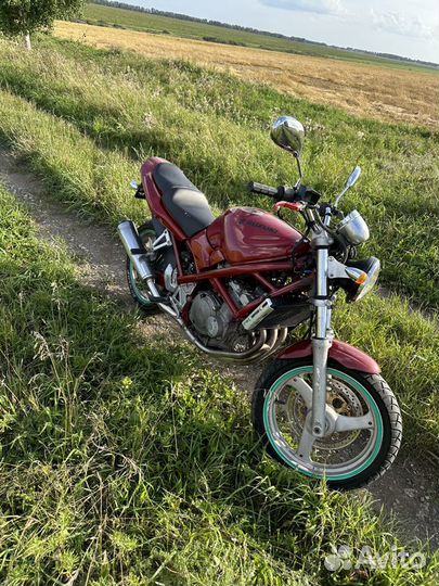 Придам suzuki bandit 250