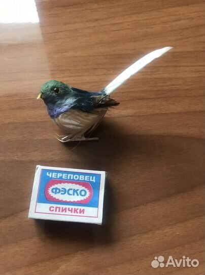 Чучело птички на прищепке