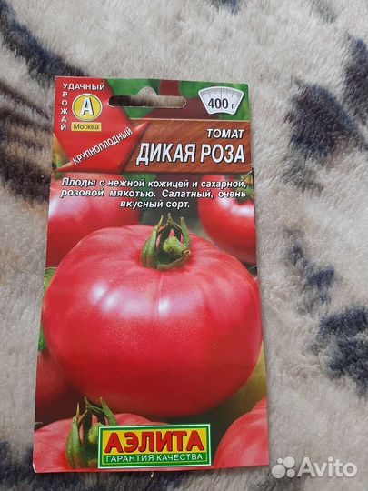 Рассада помидор