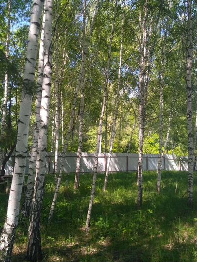 Участок 8 сот. (СНТ, ДНП)