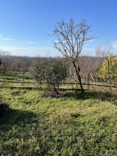 Участок 4 сот. (ИЖС)