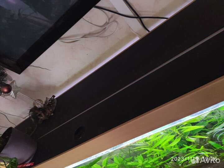 Аквариум на 300 литров со всем содержимым