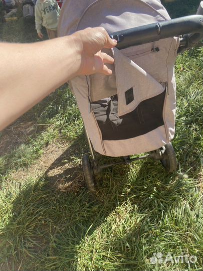 Коляска Carello bravo 2022