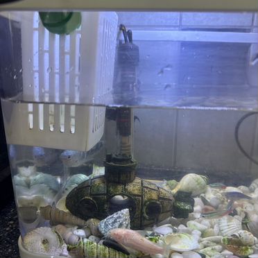 Аквариум с рыбками 15 лит