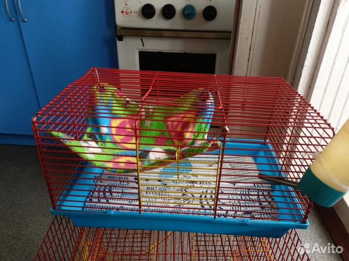 Клетка для грызунов