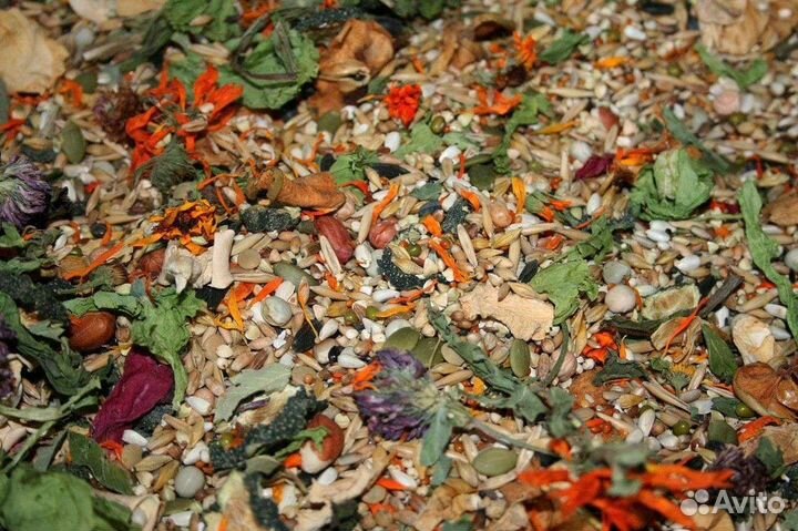 Мешанина для сирийских хомяков