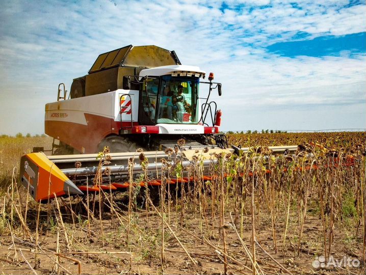 Жатка Orange Seed SFH 7800, 2023