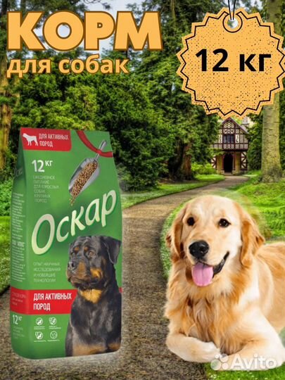 Дизайн/Инфографика для маркетлейсов