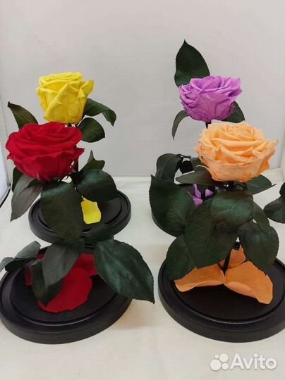 Роза в колбе