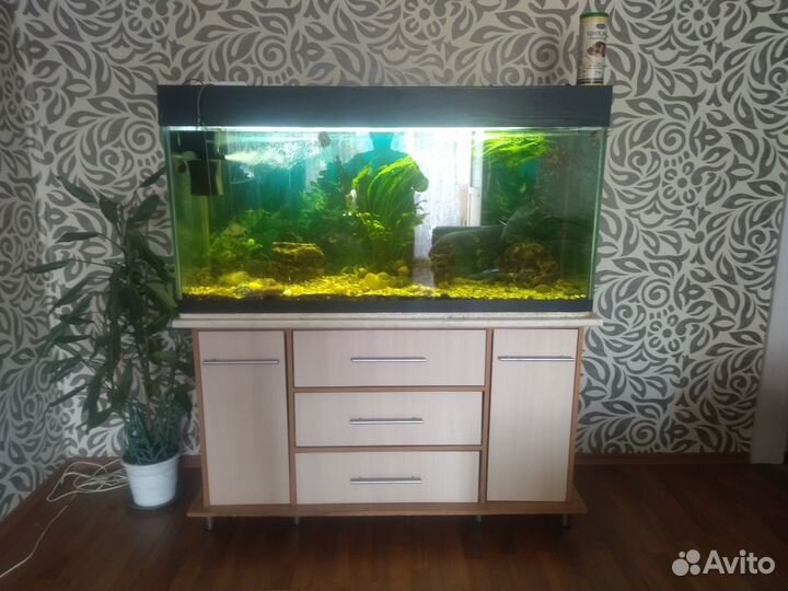 Аквариум с тумбой 460л