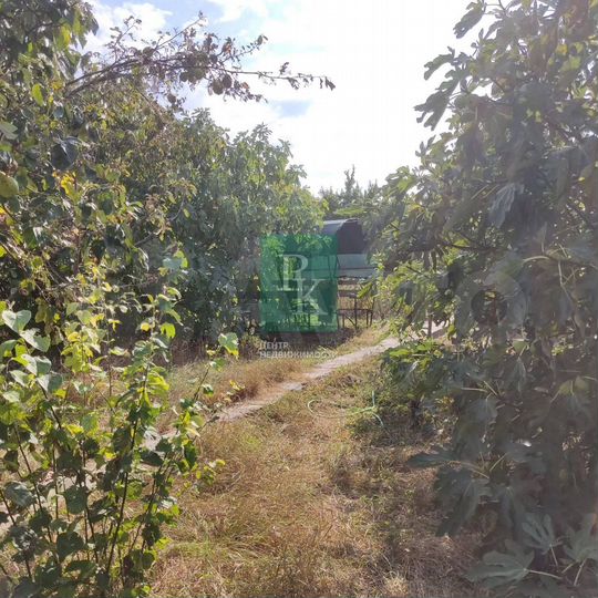 Участок 4 сот. (СНТ, ДНП)