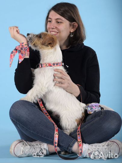 Ошейник United Pets для собак Complete me Forever