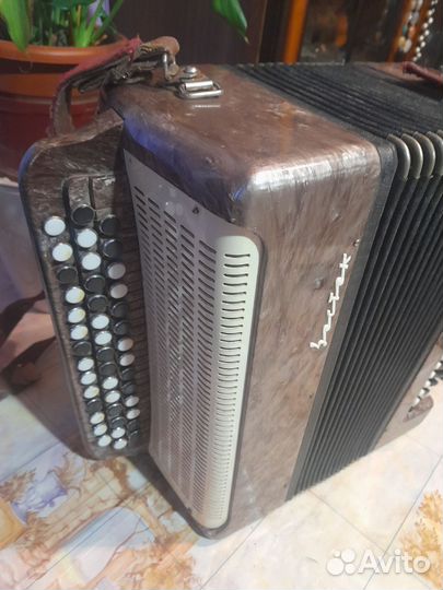 Баян восток. Кировский. оумп