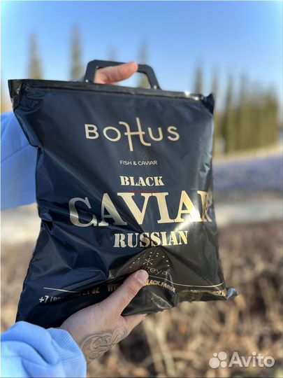 Черная икра