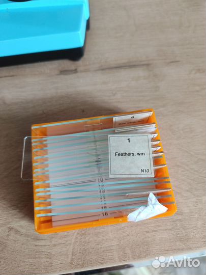 Микроскоп Левенгук Levenhuk 2L