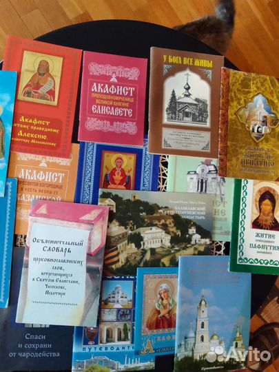 Хобби и отдых