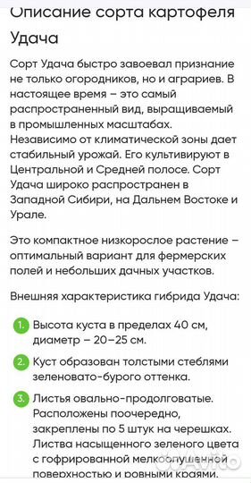 Семенной картофель