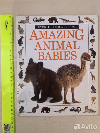 Английский для детей